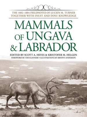 cover image of Mammals of Ungava and Labrador